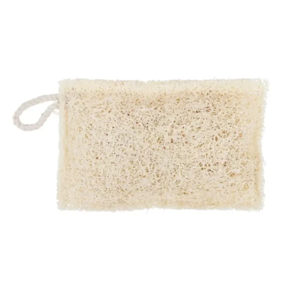 Luffa szivacs mosogatáshoz