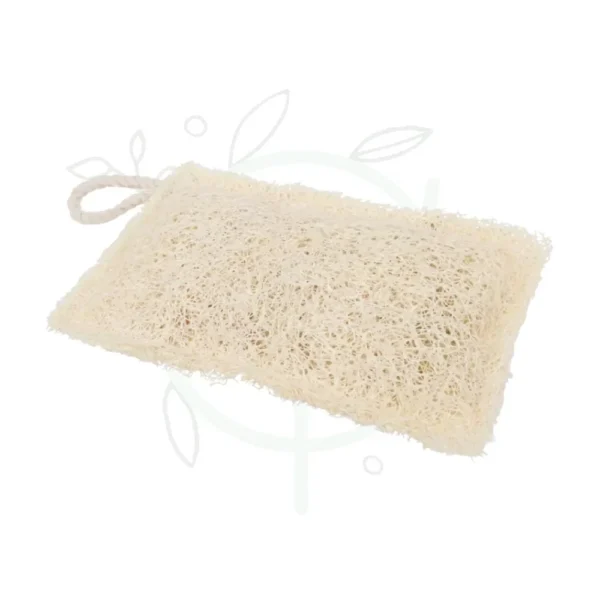 Luffa szivacs mosogatáshoz