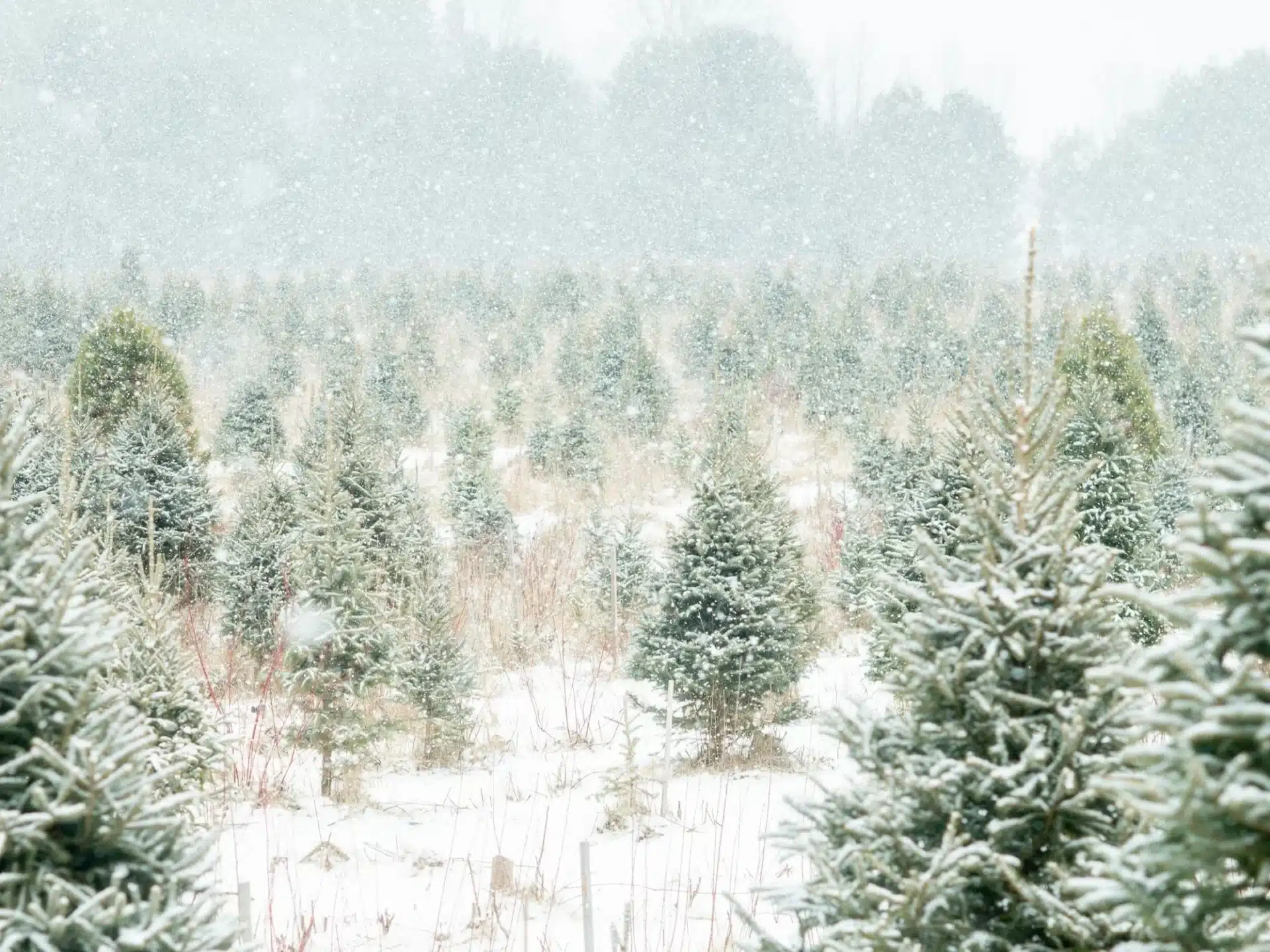 zerohero.hu - Az UpCircle Beauty története