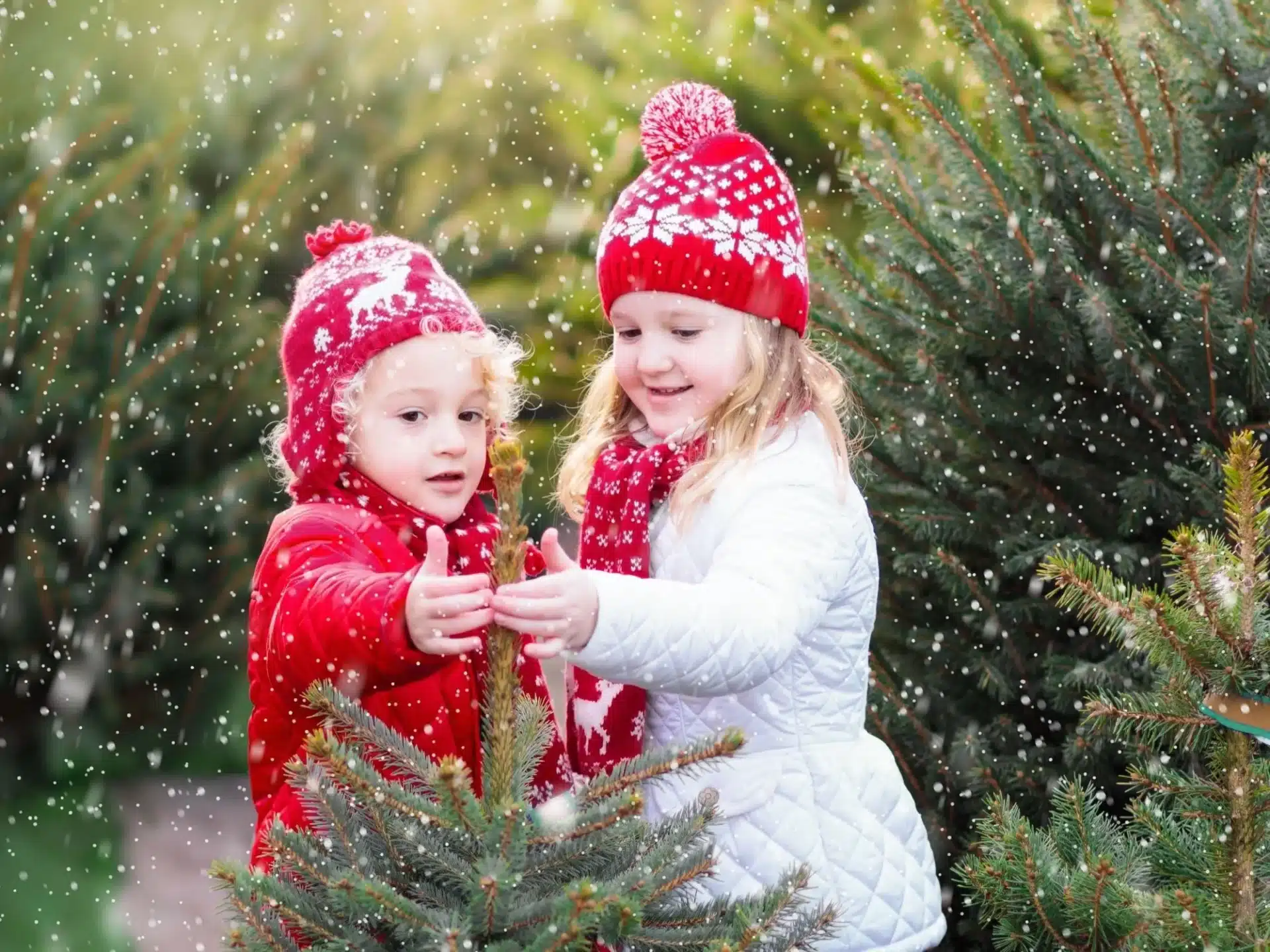 zerohero.hu - Az UpCircle Beauty története