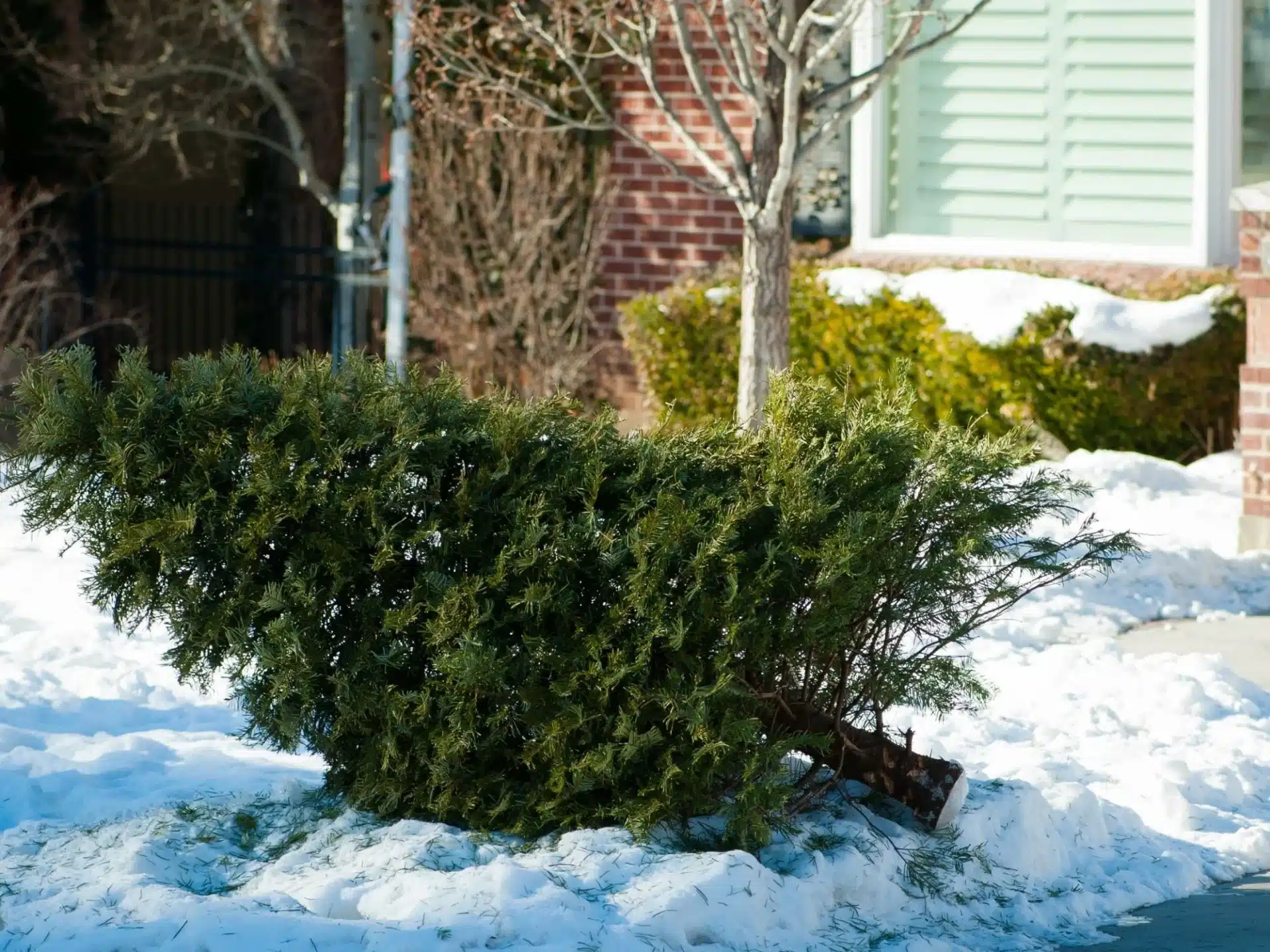 zerohero.hu - Az UpCircle Beauty története