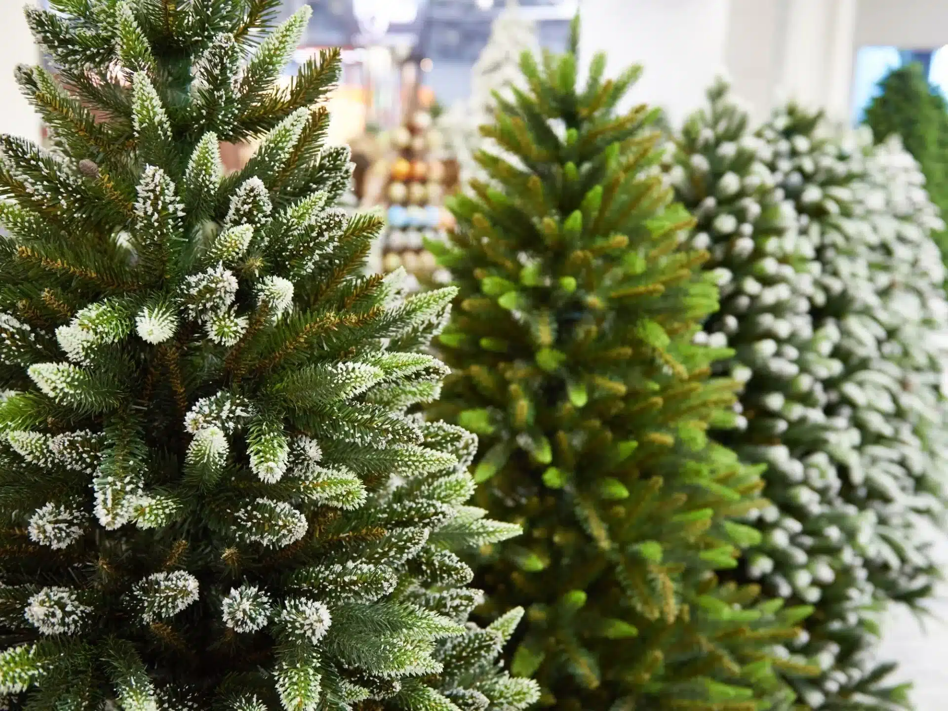 zerohero.hu - Az UpCircle Beauty története